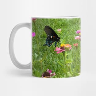 Butterfly on zinnia flower Mug